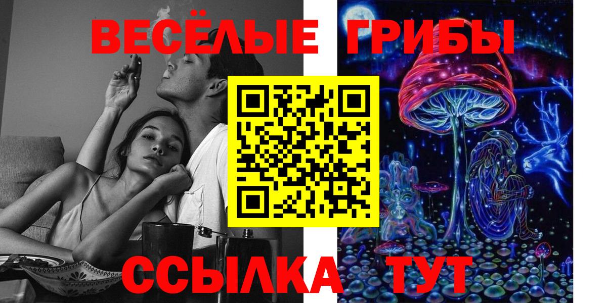 Псилоцибиновые грибы Psilocybe Сургут