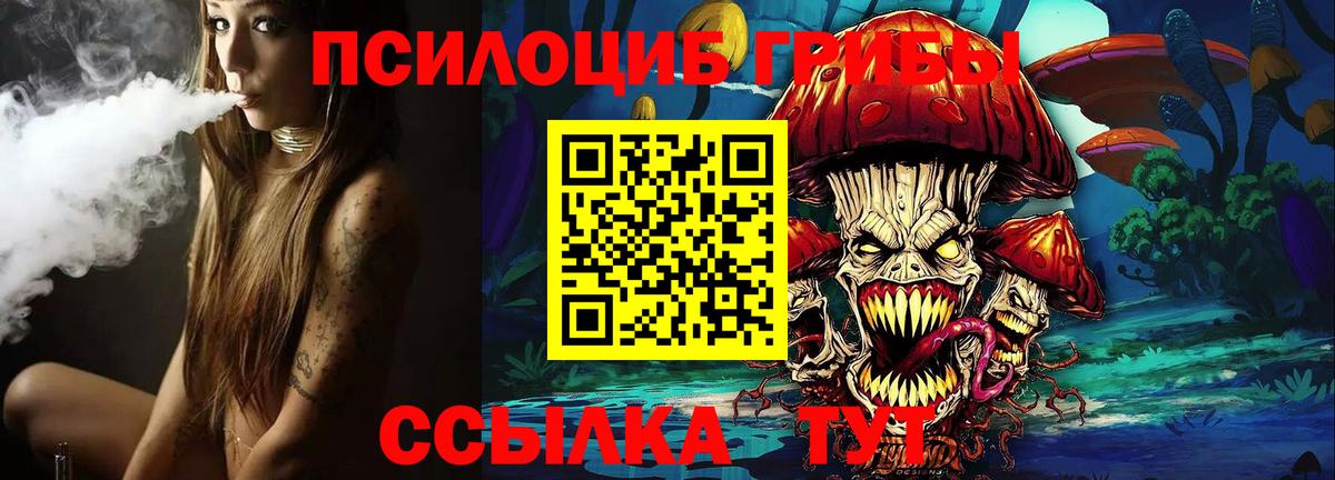 Сургут  Псилоцибиновые грибы Psilocybe  Вход с VPN 